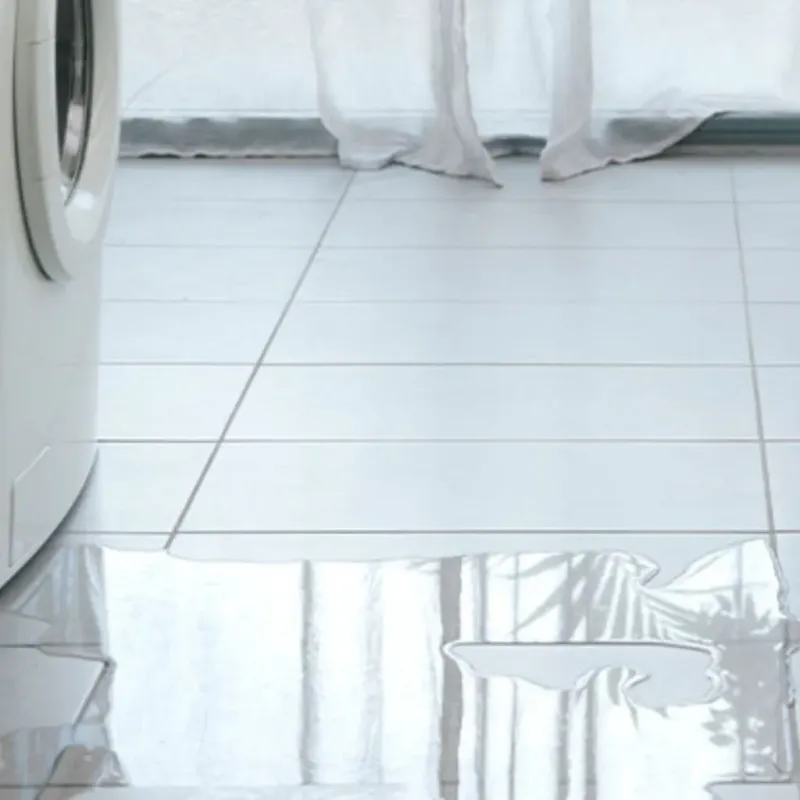 Appliance Leak Cleanup in Carlisle, IA