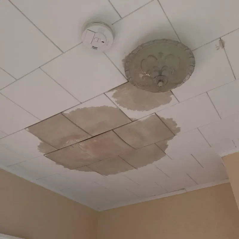 Ceiling Water Damage Repair in Carlisle, IA