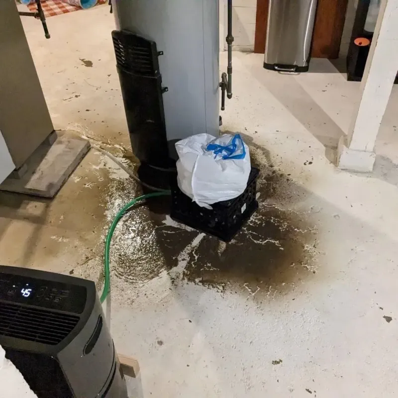 Sewage Backup Cleanup Service in Carlisle, IA